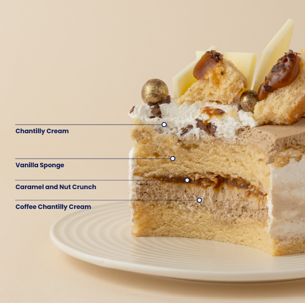 Dalgona Coffee Cake